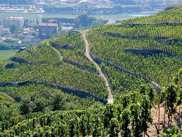 Gite Abricotier Crozes-Hermitage Bagian luar foto